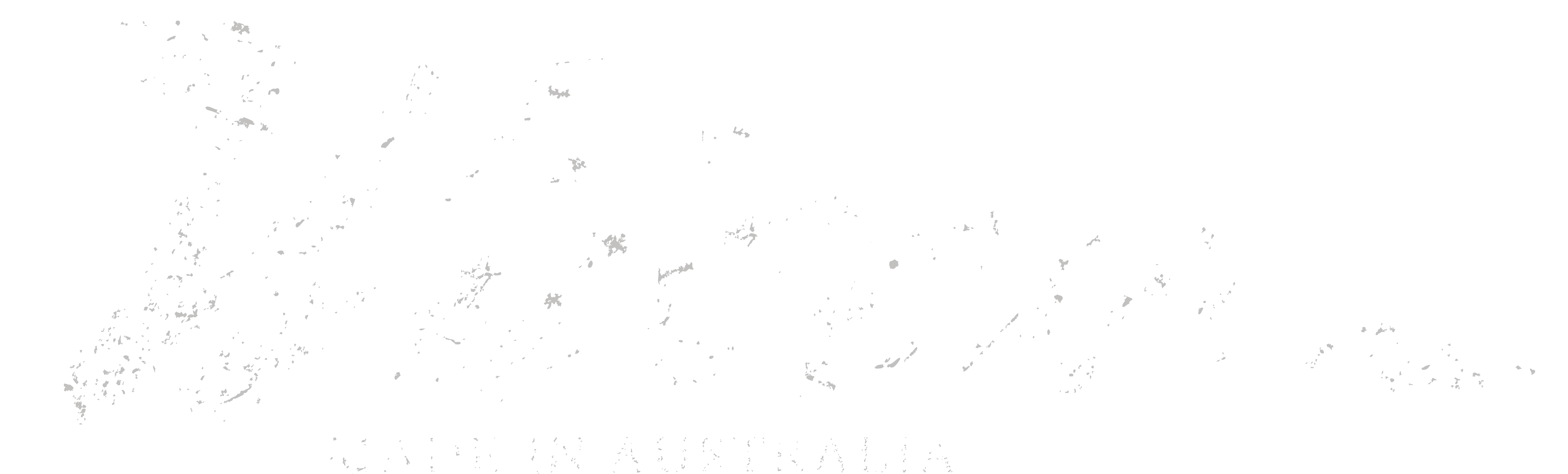 Wilson Guitars